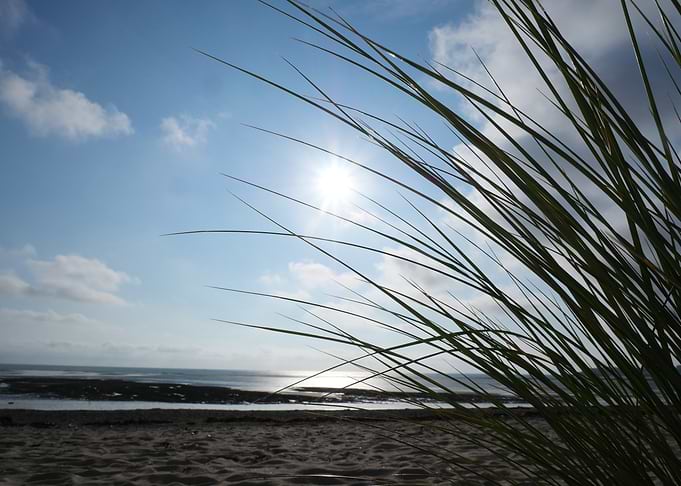 Summer sun on the beach