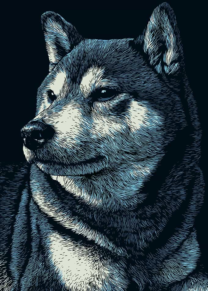 Detailed Shiba Inu Portrait