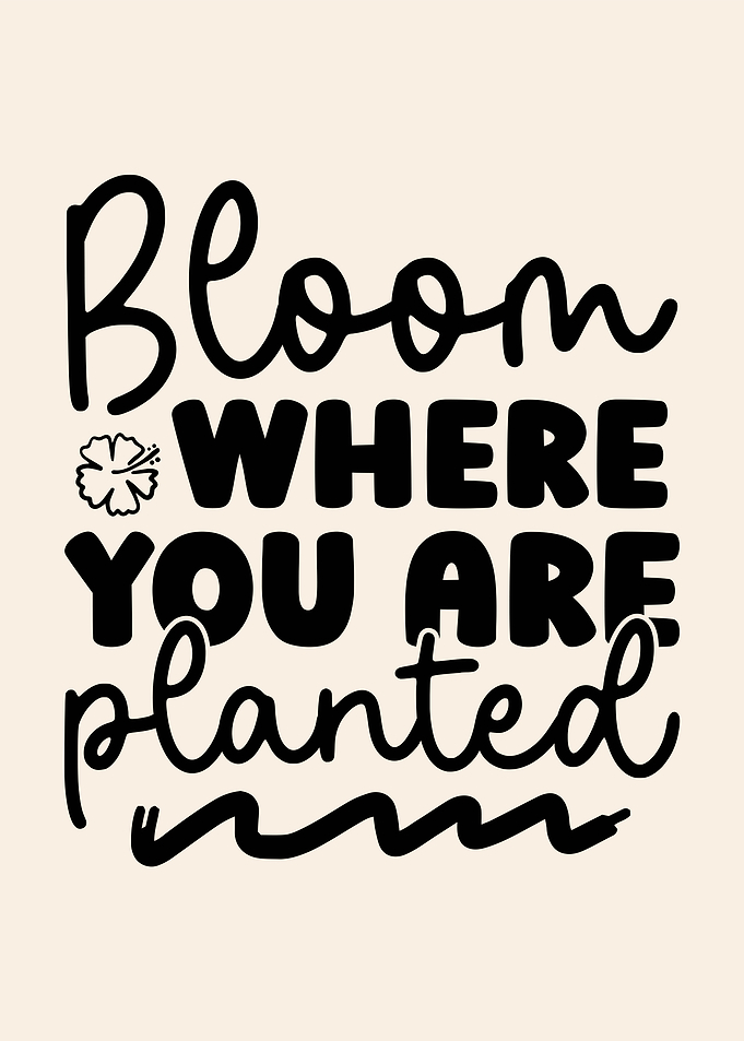 Bloom Where You Are Planted