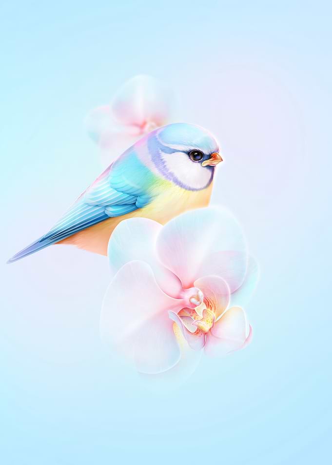 Blue Tit Bird with Orchid Flowers