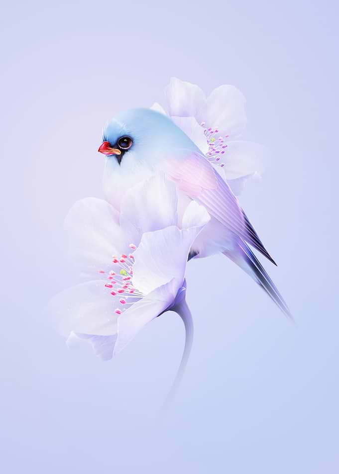 Pastel Bird on Blossoms