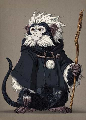 Monkey Wizard Character Illustration