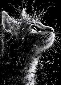 Cat in Water