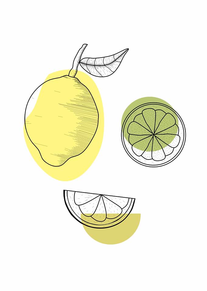 Lemon Fruit Illustration with Abstract Shapes