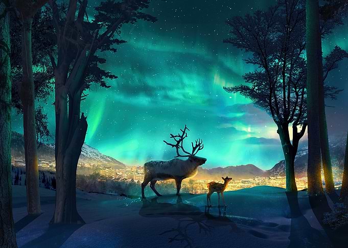 Reindeer under the Northern Lights