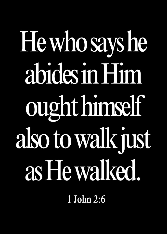1 John 2:6 Bible Verse