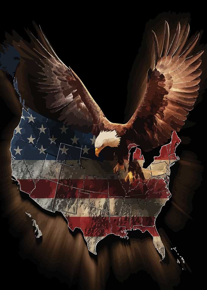 American Eagle over USA Flag Map