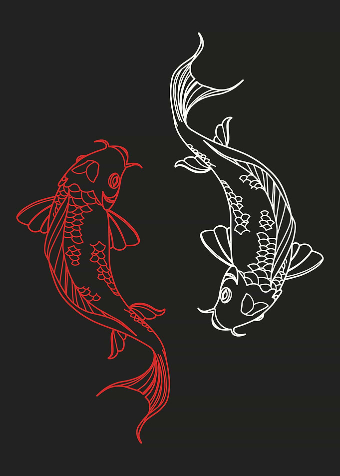 Red and White Koi Fish Illustration
