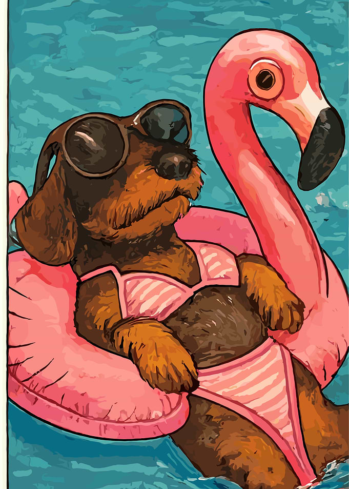 Dachshund with flamingo float in pool