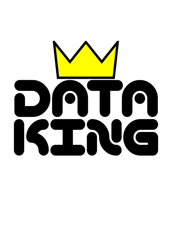 Data King Logo with Crown