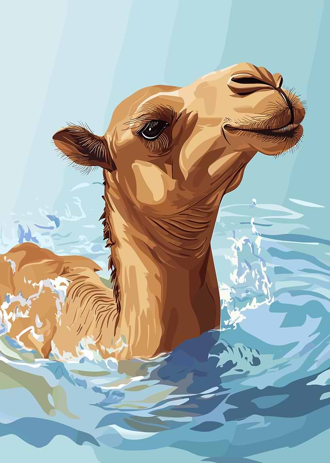 Camel Swimming in Water Illustration