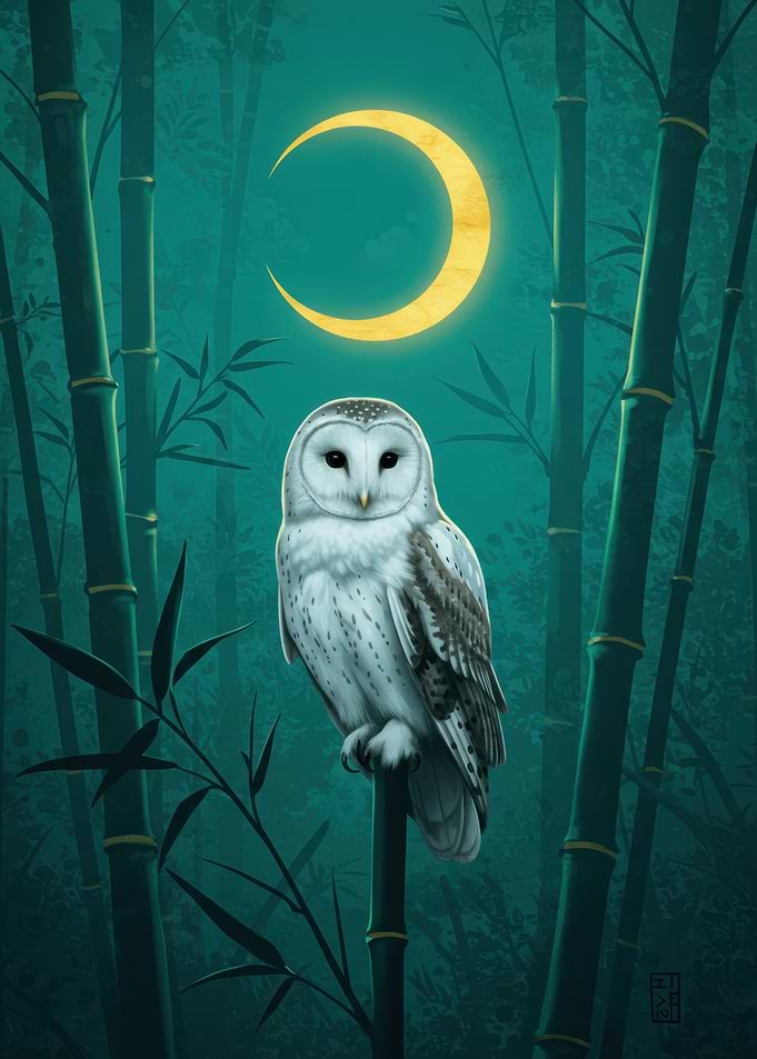 Owl Perched Under Crescent Moon