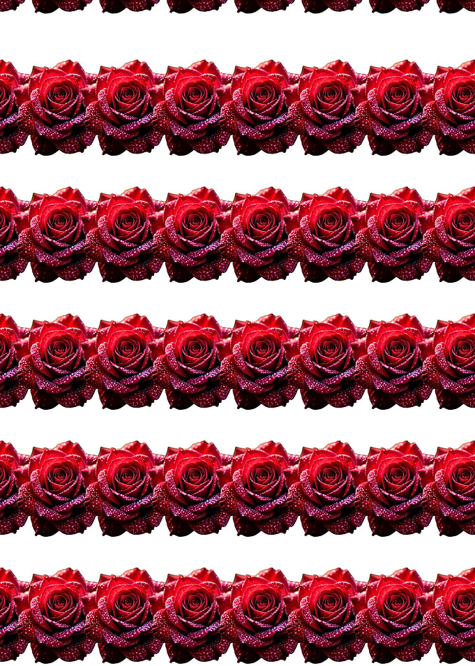 Red Roses Pattern