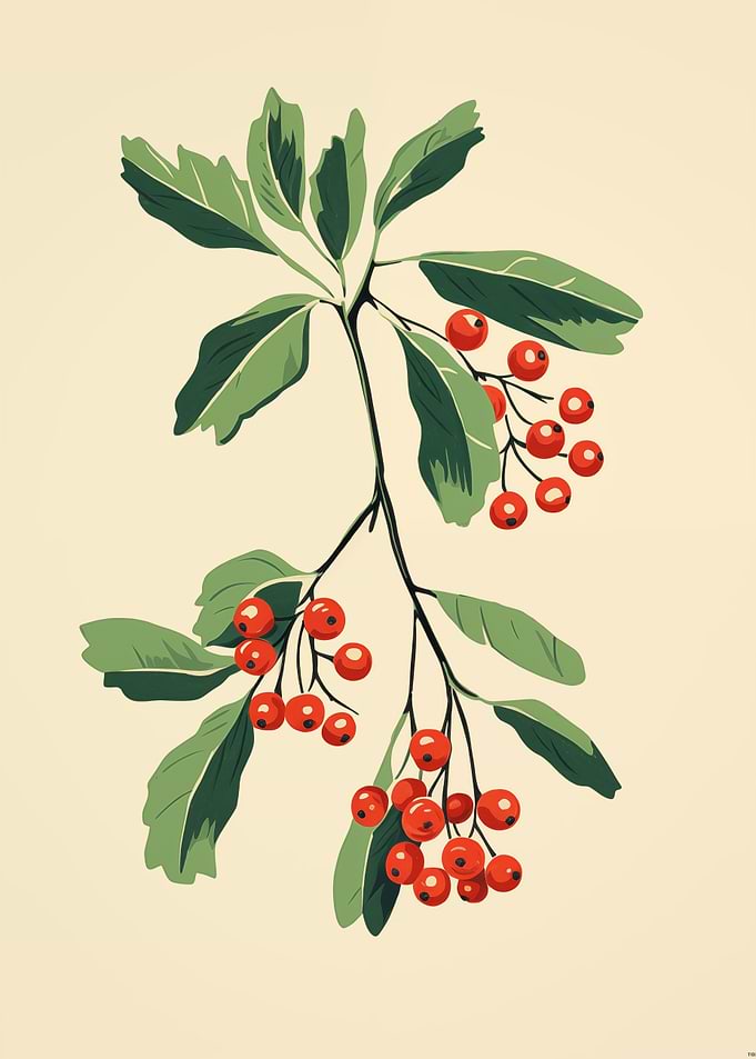 Botanical Red Berries