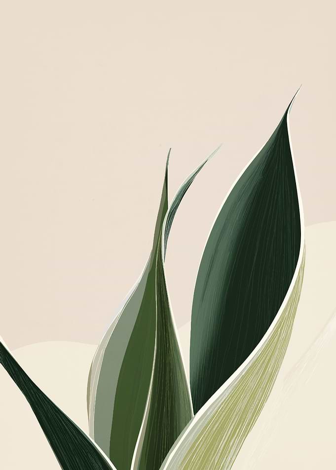 Minimalist Sansevieria Plant Illustration