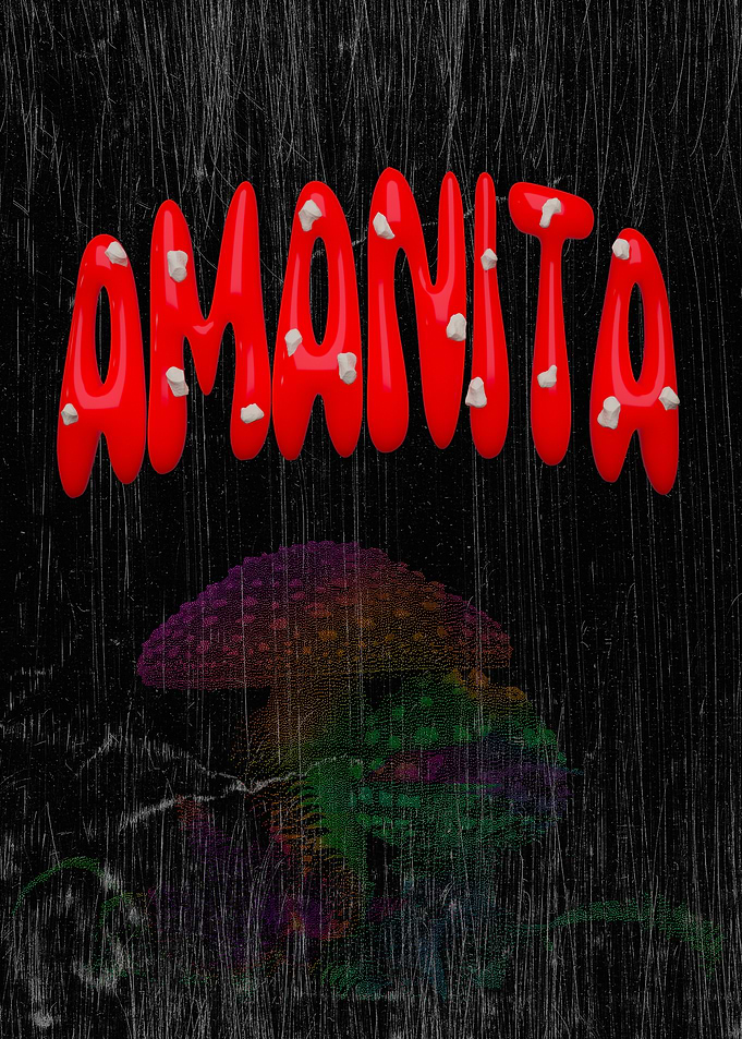 Amanita Mushroom Art