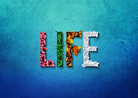 LIFE seasons concept on blue background