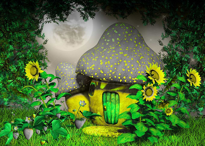 Mushroom House in Enchanted Forest