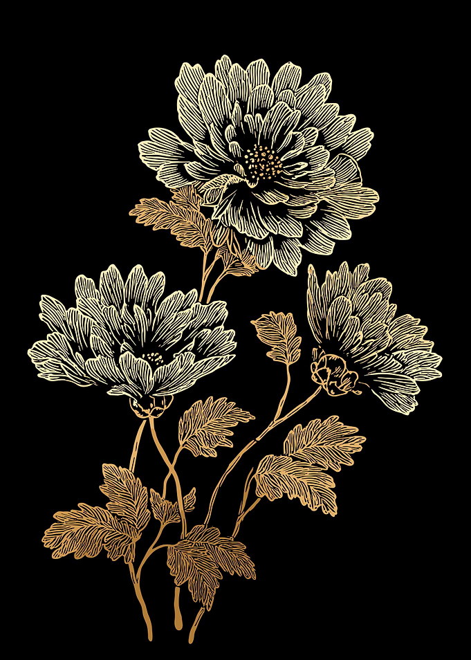 Golden Floral Illustration on Black Background
