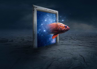 Fish Emerging From Cosmic Portal