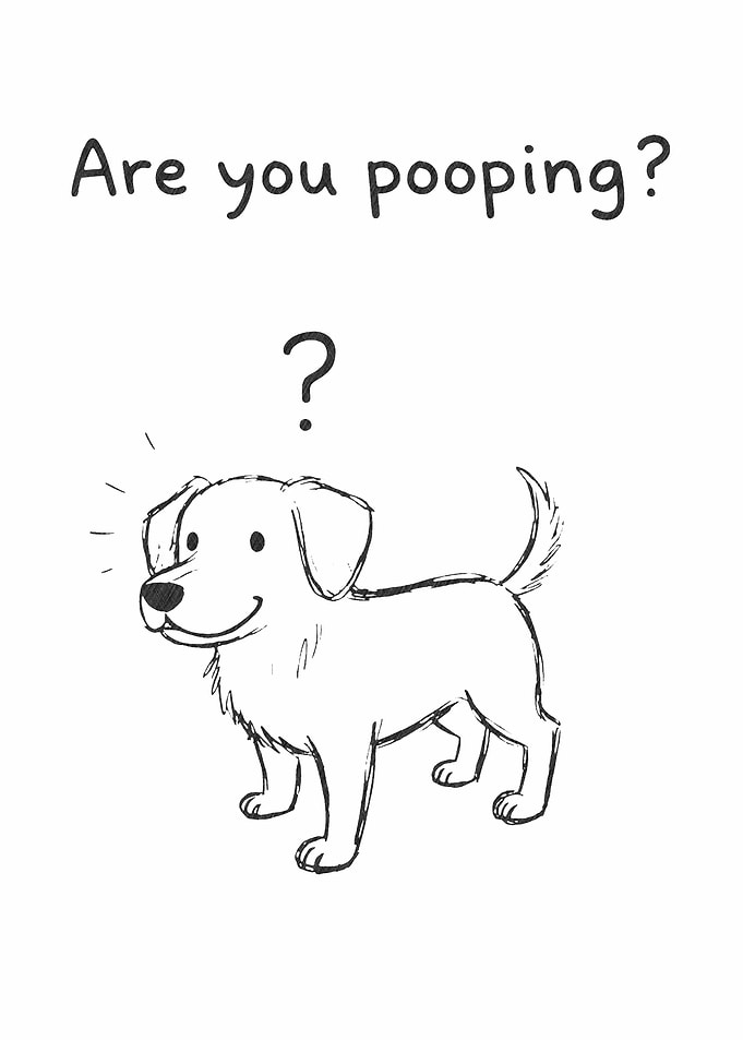 Are you pooping? Dog Sketch