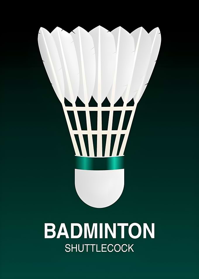 Badminton Shuttlecock Illustration