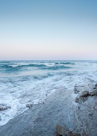 Coastal Portrait