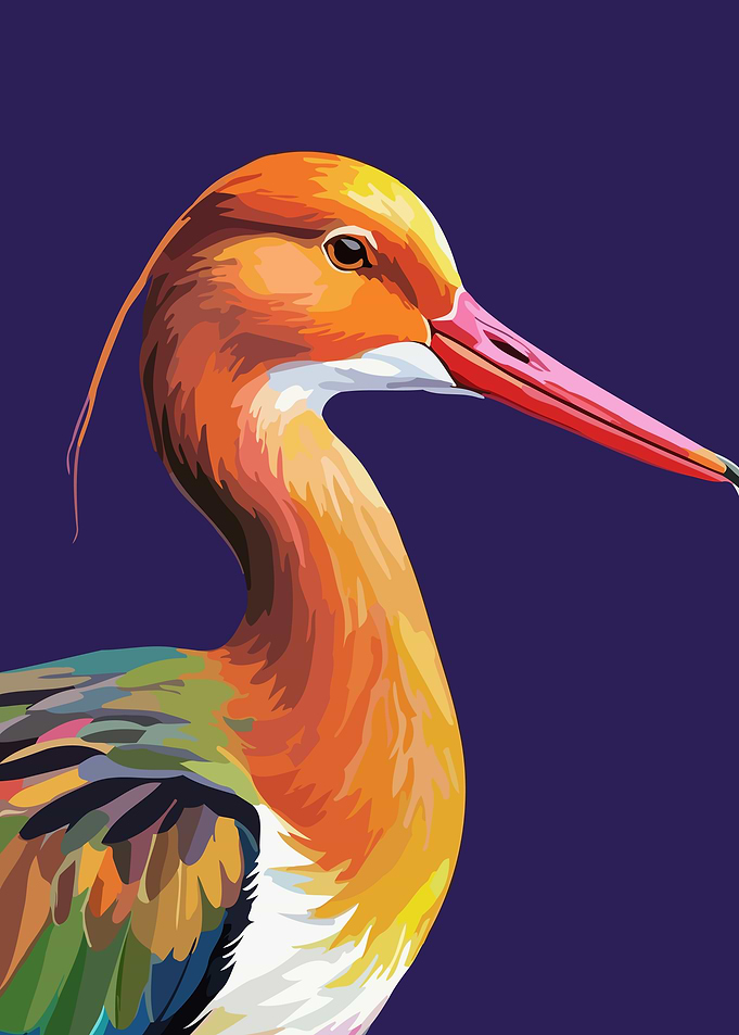 Colorful Black Tailed Godwit Bird Pop Art