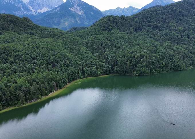Lake and Forest Landscape