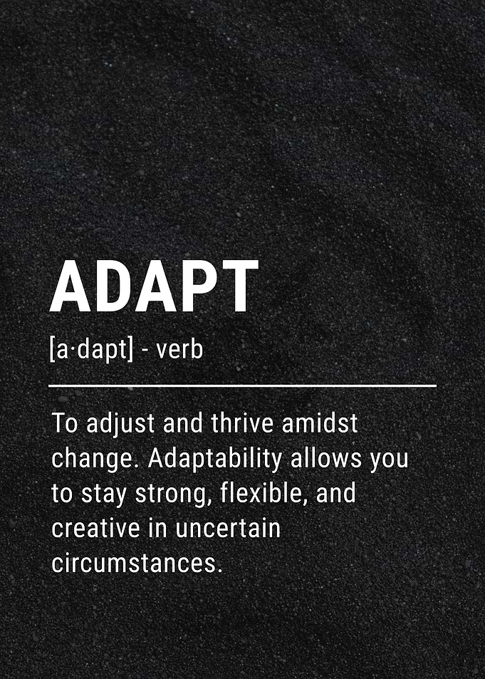 Adapt Definition