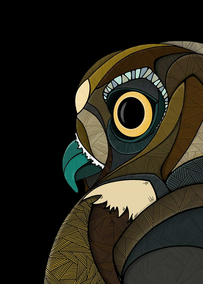 Stylized Owl Portrait on Black Background