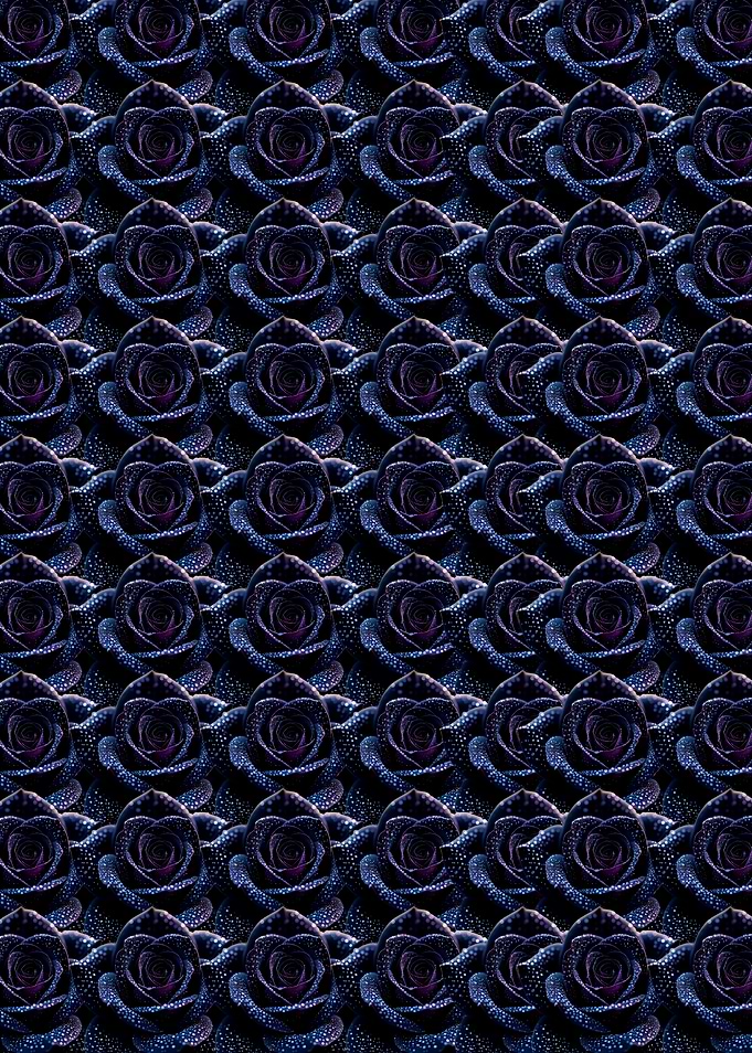 Dark Roses Pattern