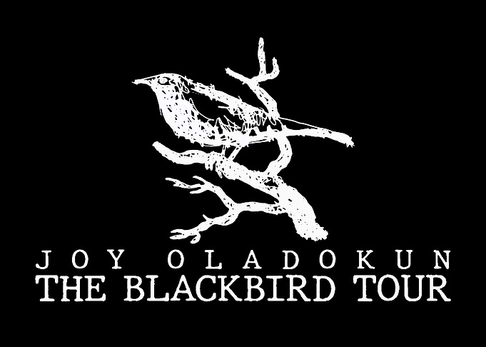 Joy Oladokun The Blackbird Tour