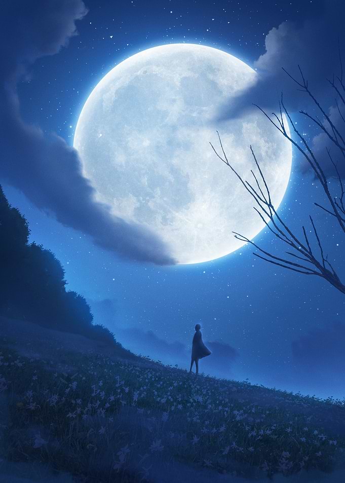Moon watcher