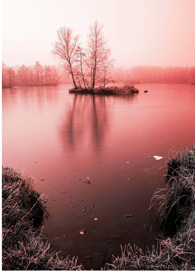 Frozen Lake with Island in Fog