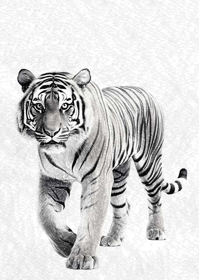 Monochrome Tiger Portrait
