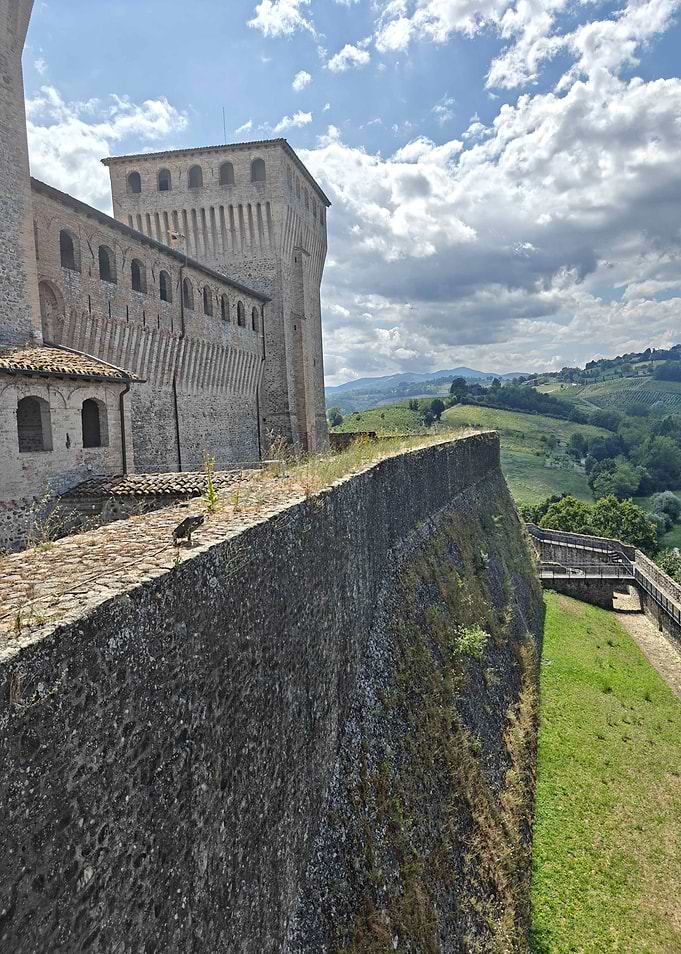 Medieval Castle Wall with Landscape View