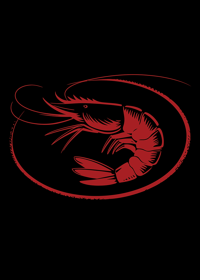 Red Shrimp Silhouette on Black Background