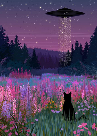 Cat, UFO, and Flower Field