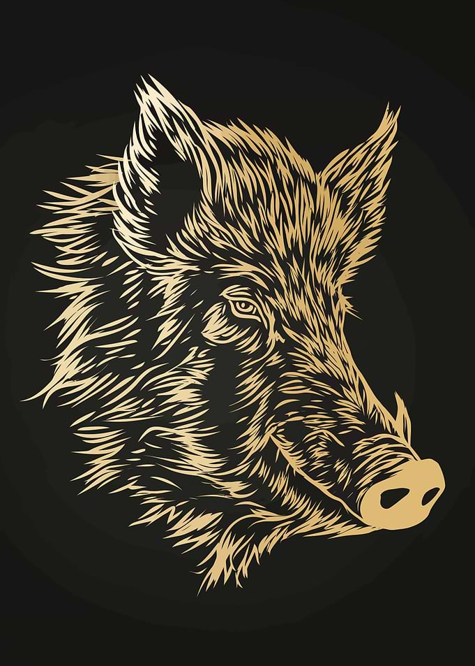 Golden Boar Head on Black Background
