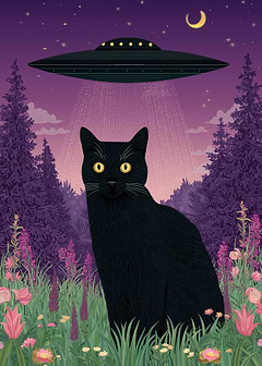 Black Cat Abduction by UFO
