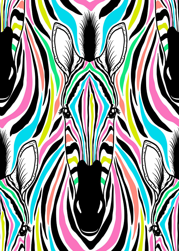 Colorful Zebra Pattern