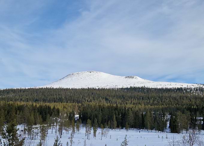 Snowy Mountain Landscape with Forest