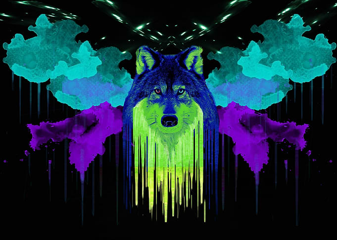abstract wolf portrait with neon colors