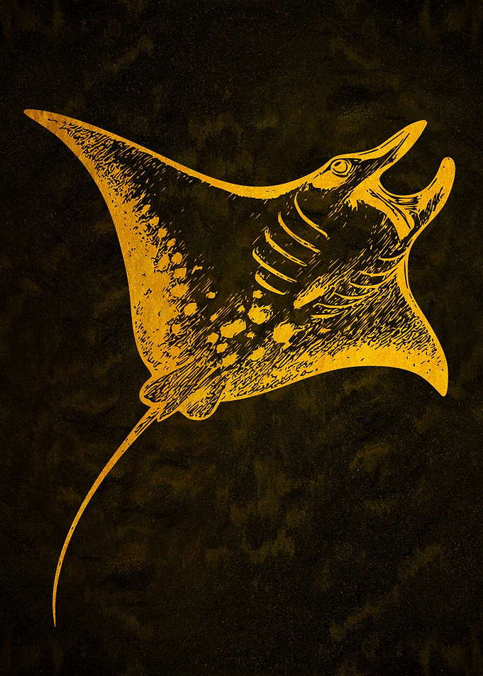 Golden Manta Ray