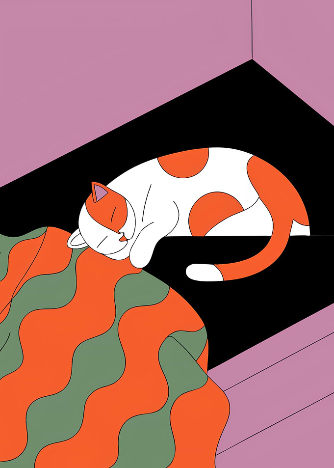 Sleeping Cat in a Box
