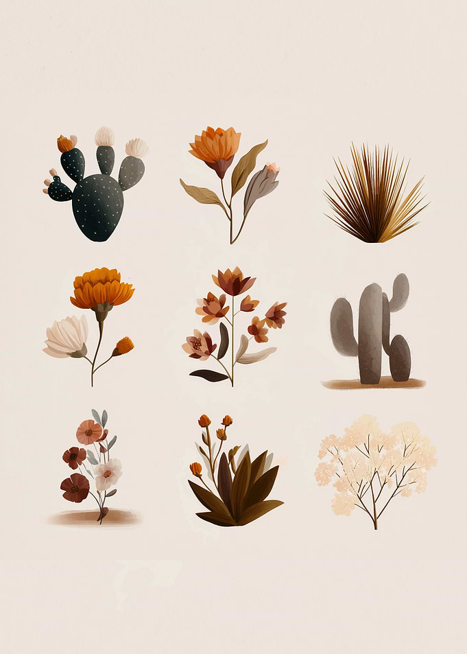 Desert Flora Illustration