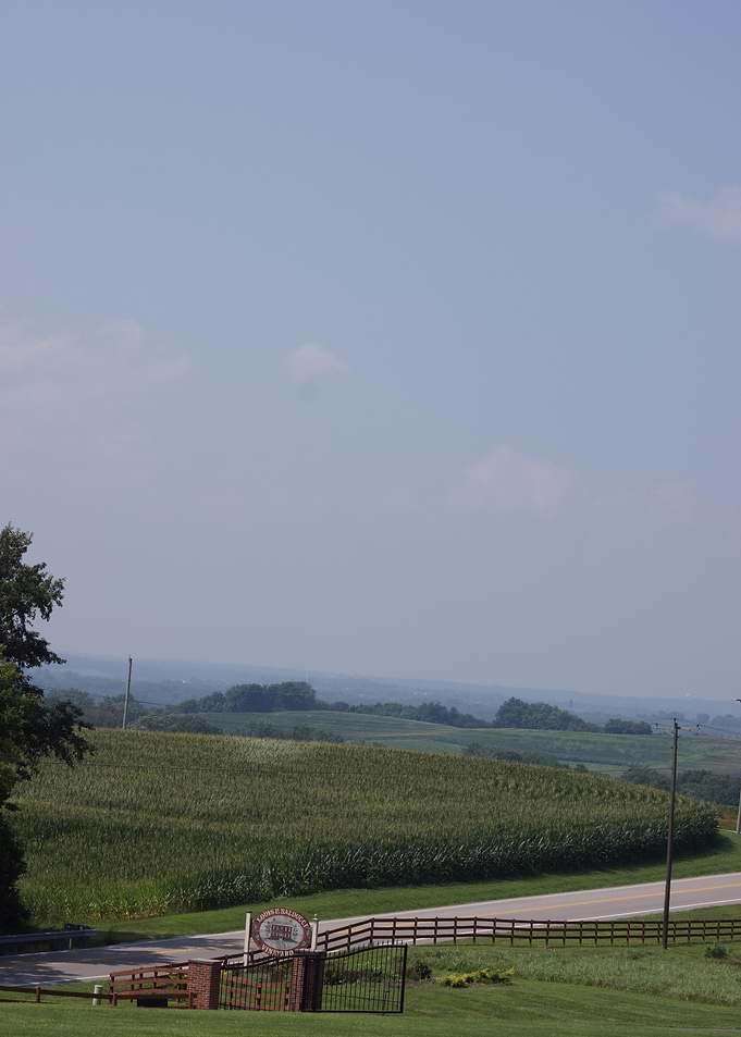 Rural Landscape with Cornfield and Sign