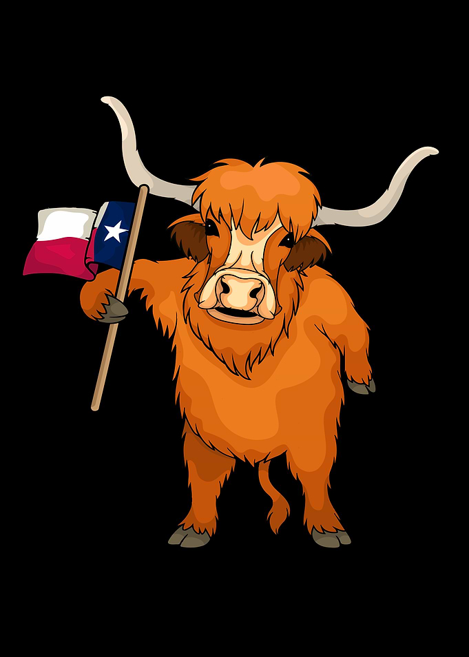 Texas Lover Kids Cow Lover Texas Flag
