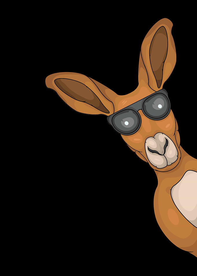 Kangaroo Lover Kids Australia Animals Gift Kangaroo